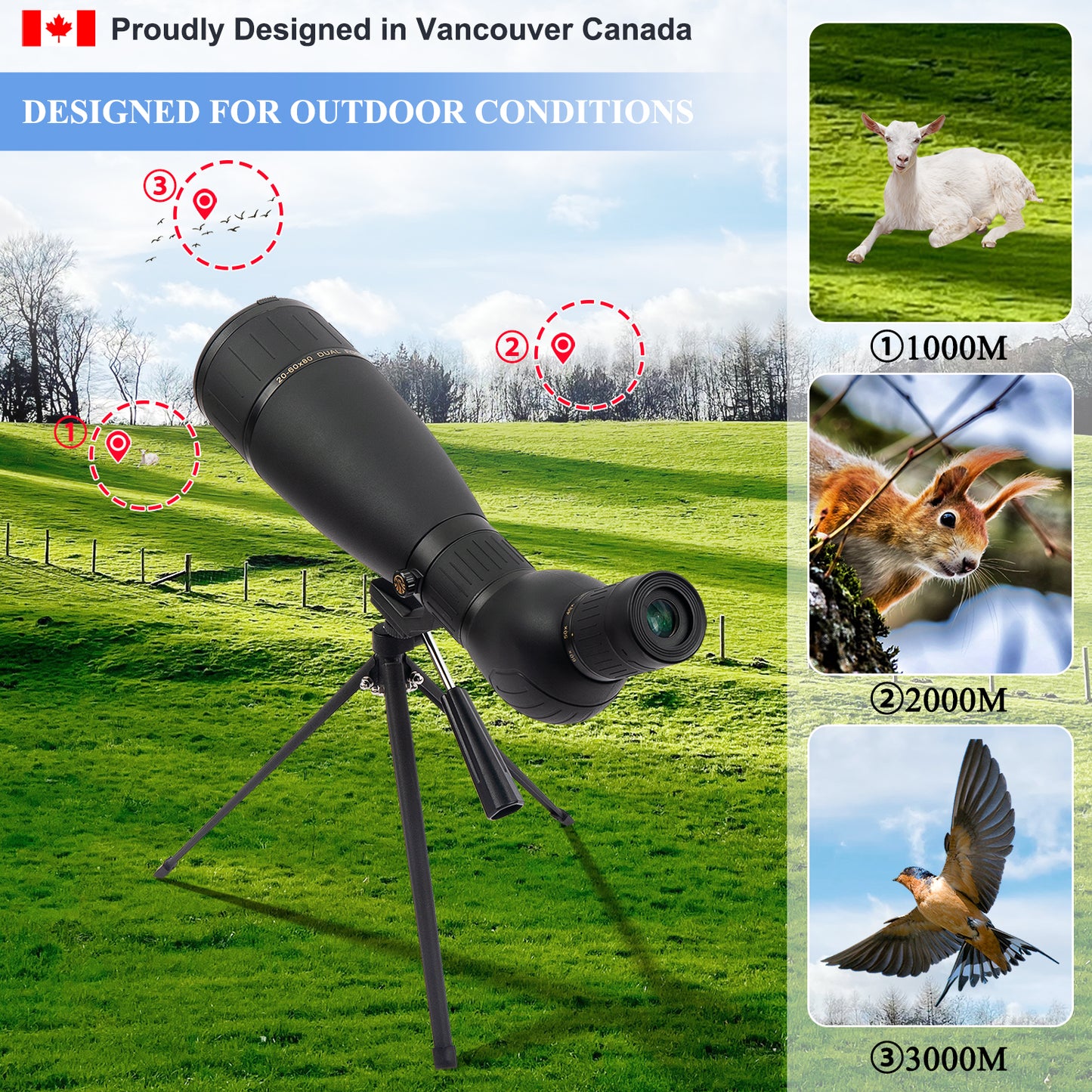 Spotting Scope 20-60X80 FMC HD BAK4 (Long Range Spotting, Water-Resistant) with Metal Tripod, Carry Bag, Phone Holder