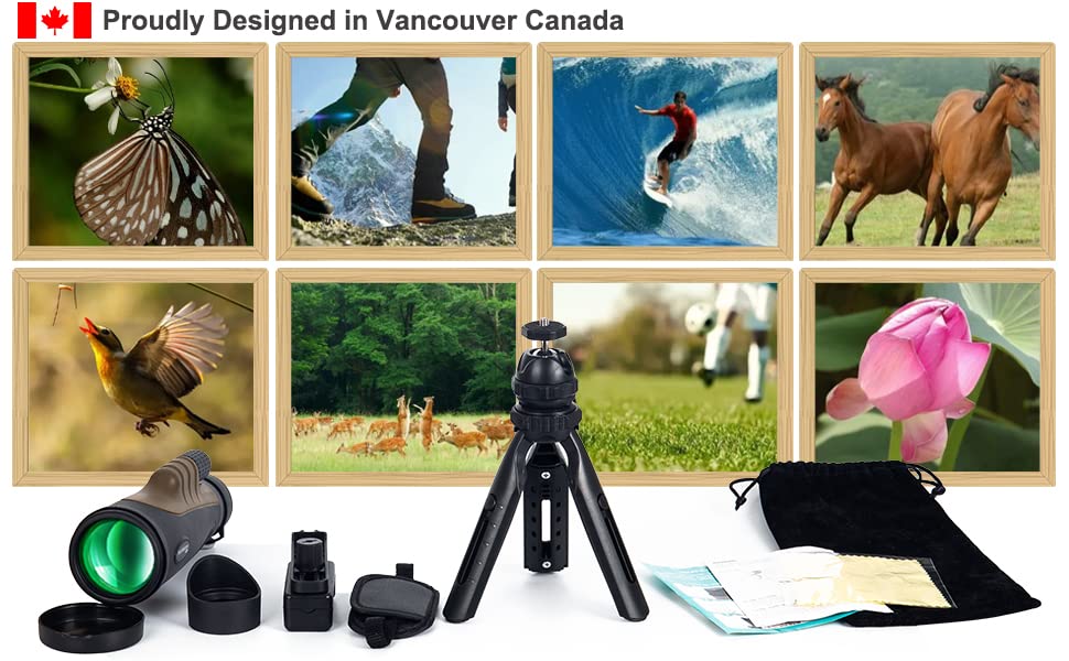 Fetch Falcon 12x50 IPX7 Nitrogen-Filled BAK4 FMC Monoculars(2023 Fifth Generation,Eyepiece 25.5cm Under 1 M Water 30 Minutes NO Leaks) with Designed Phone Holder, Tripod, Hand Strap
