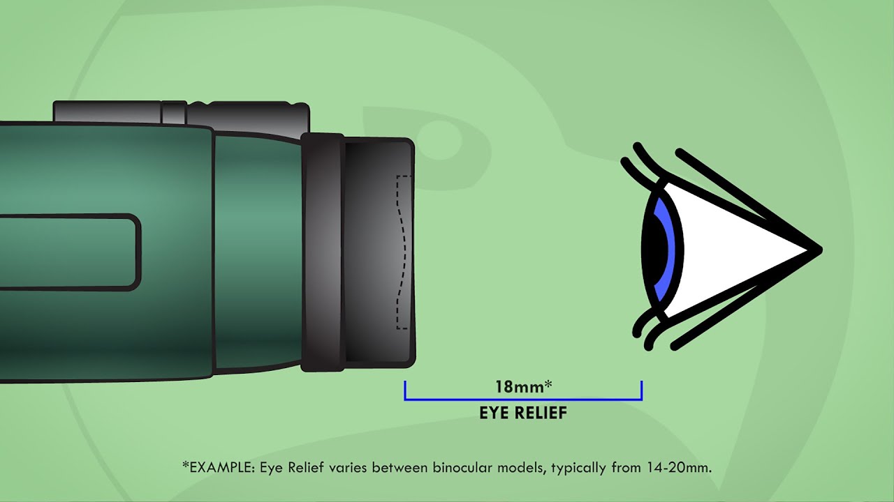 Comprehensive Size Guide for Optics: Binoculars, Rangefinders, Spottin ...