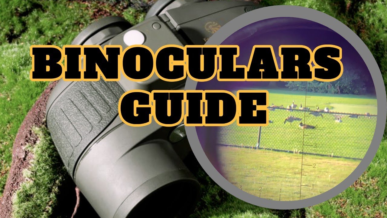 Fetch Falcon Binoculars Competitive Factory Price